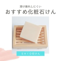 人気Ｎｏ.２ ＳＨＩＯ石けん １００ｇ　お肌しっとり Herb・Room leaf 肌にやさしいソープ 碧ものがたり