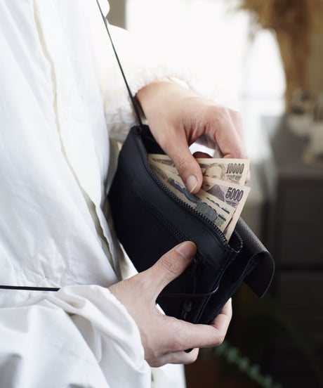 Shoulder Wallet