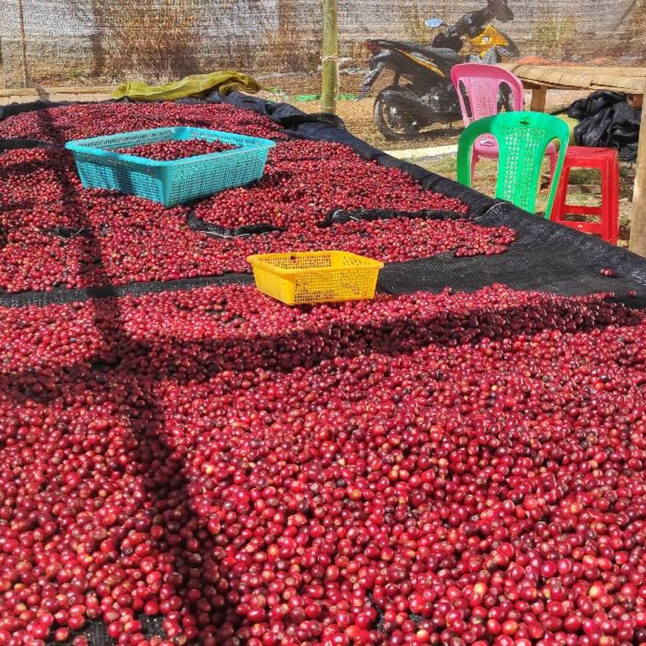 6982fcfa99747d07897fa5a5