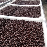 モゴック　ルビーヒル　ナチュラル200ｇ