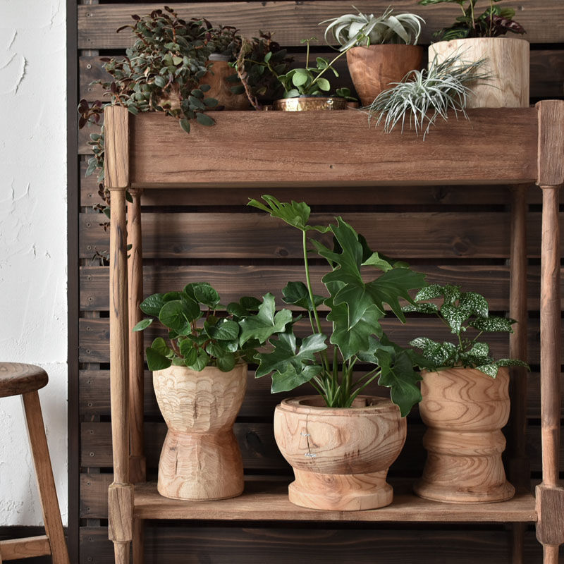 木製鉢カバー 送料無料 | ハモニ