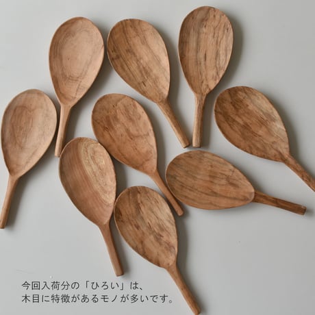 桜の木杓文字　ふつう　さんかく　ひろい