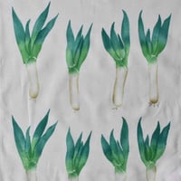 アケモドロ　型染め手ぬぐい　葱