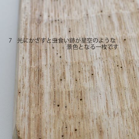 上陽子　我谷盆　6　鉄奨　7　白木