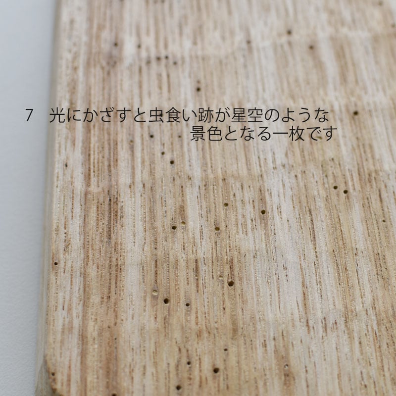 上陽子 我谷盆 6 鉄奨 7 白木 | ハモニ