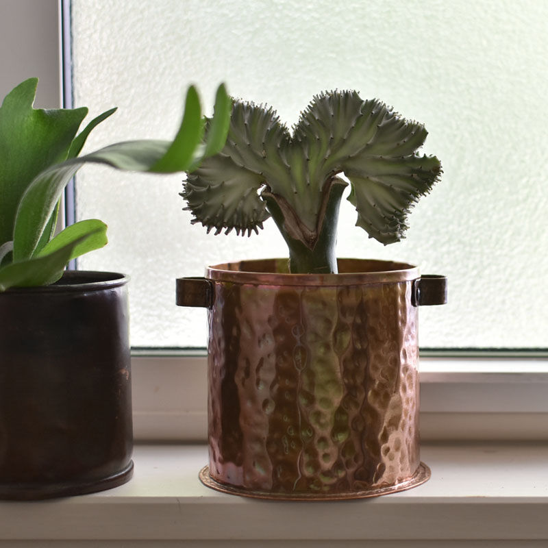 英国鉢カバー　ジャンク(55000) 英国鉢カバー ジャンク(55000)