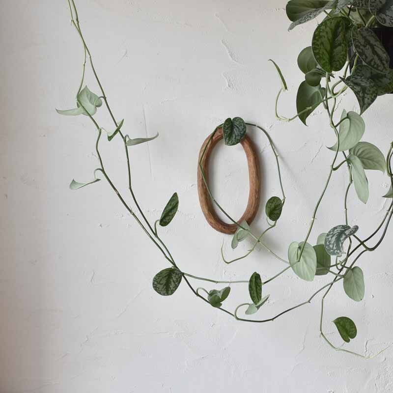 木彫りの壁掛け だえん | ハモニ