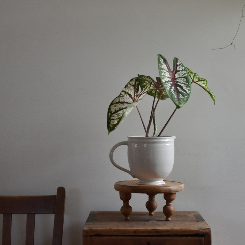 欅の飾り台 High | ハモニ