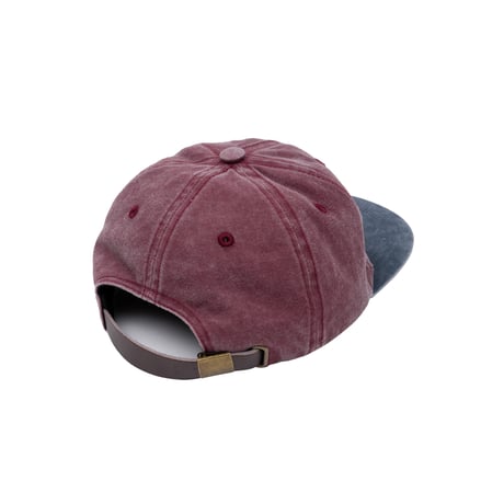 Interbreed / Dusty Cap (3colors)