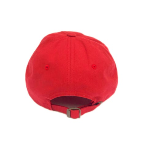 ANDSUNS / Real Dad Cap (5colors)