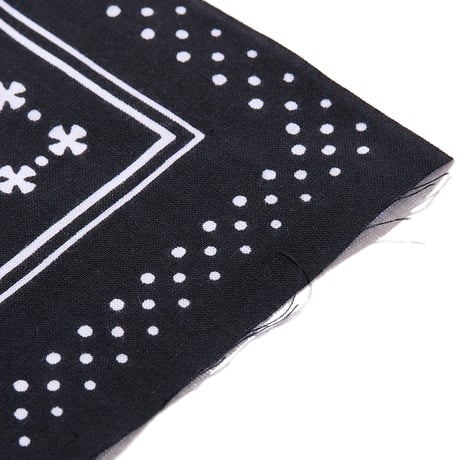 RULER / DOT TENUGUI(2colors)