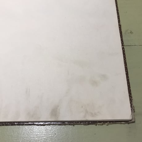 チェコ　絵本　動物園のミーシャ・クリチカ