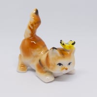 蝶々をのっけた茶トラの猫さん