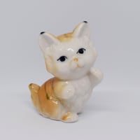 まんまるお顔の大きな猫さん