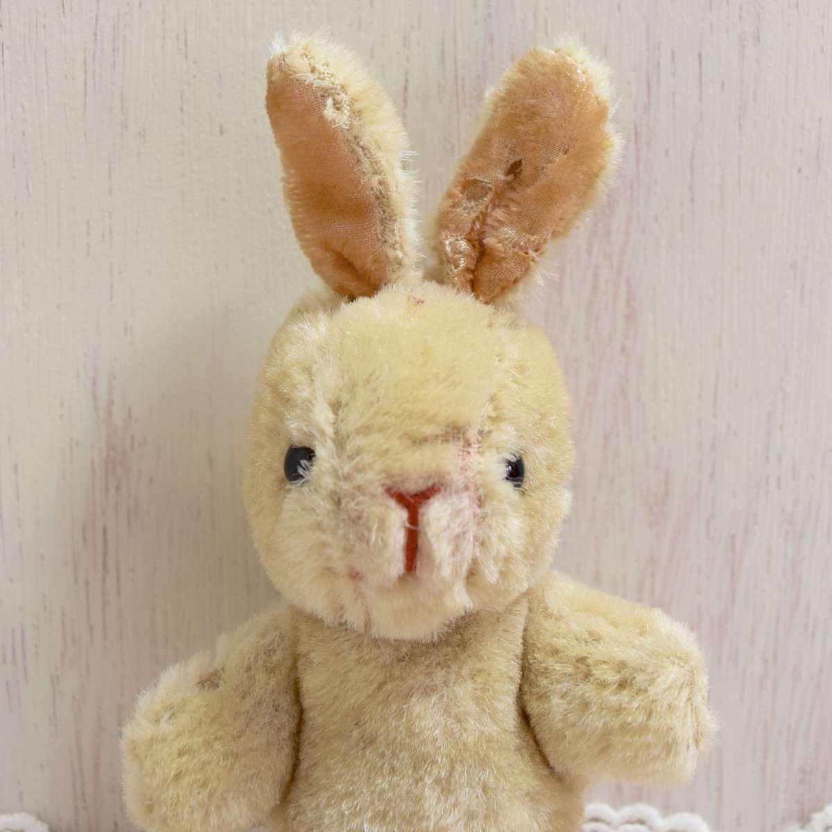 上海 ウサギ ぬいぐるみ | Kitten Blue