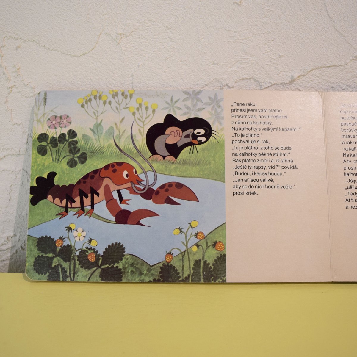 チェコ 絵本「Jak Krtek ke kalhotkam prisel」もぐらのクルテク |