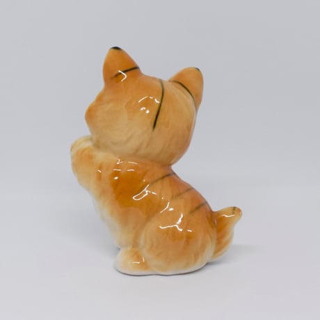 まんまるお顔の大きな猫さん