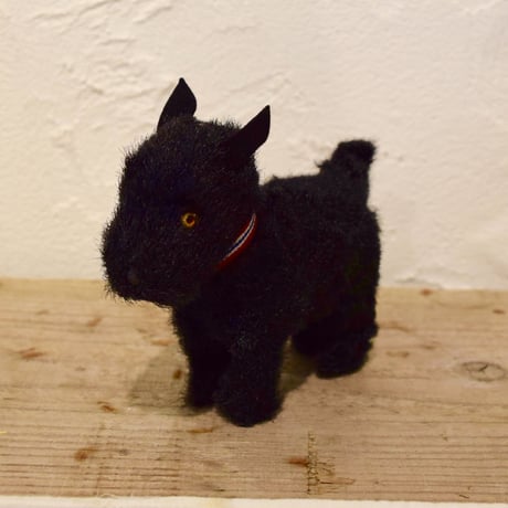 ハンガリー　真っ黒なテリア犬