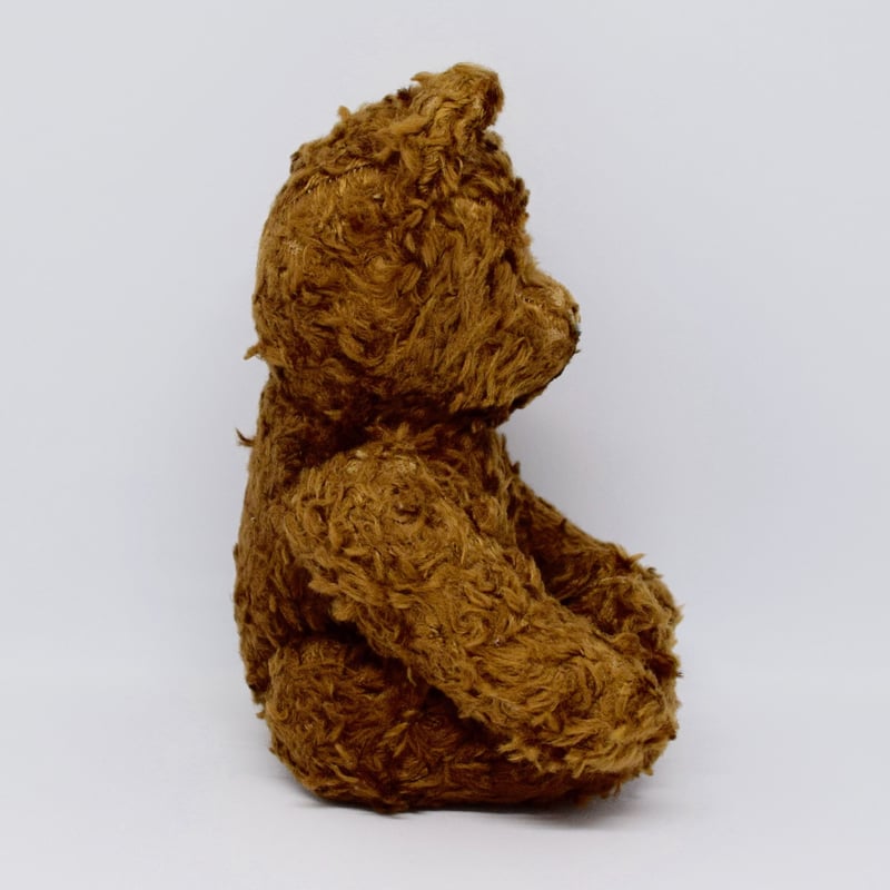 ハンガリー アンティーク テディベア 遠くの国で長く愛されてきたくま