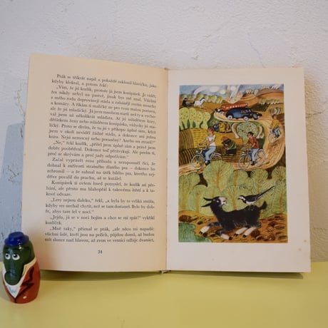チェコ　本「KOZLICEK KASTANEK」