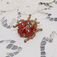 ハンガリー　てんとう虫のブローチ