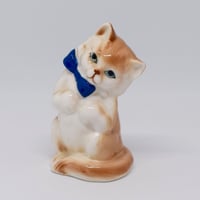 ロイヤルブルーのリボンがお似合いの猫さん