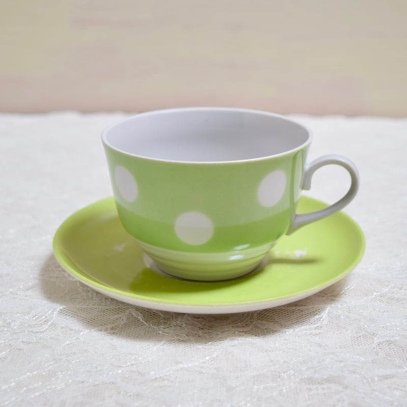旧ソ連時代 ラトビア リガ陶器工場 カップ&ソーサー ライトグリーン