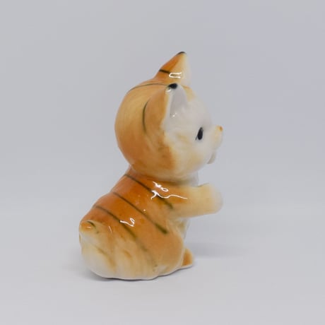 まんまるお顔の大きな猫さん