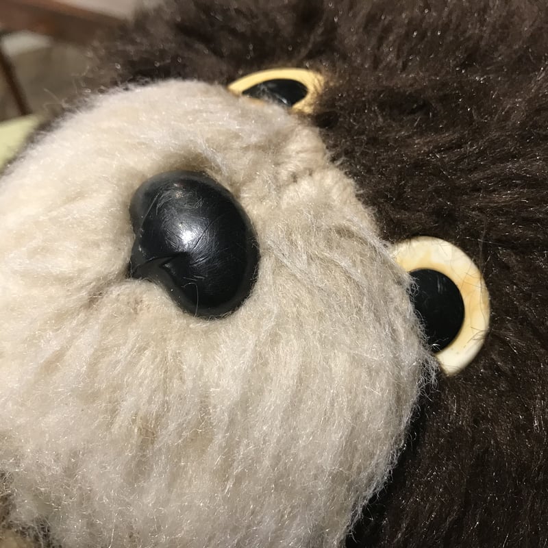 こぐまのミーシャ 特大ぬいぐるみ① | Kitten Blue