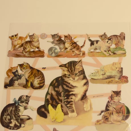 ドイツ　クロモス　シックな猫