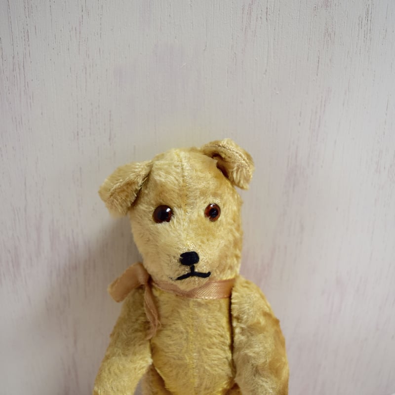 ワンちゃんみたいな 垂れ耳テディベア ゴールド | Kitten Blue