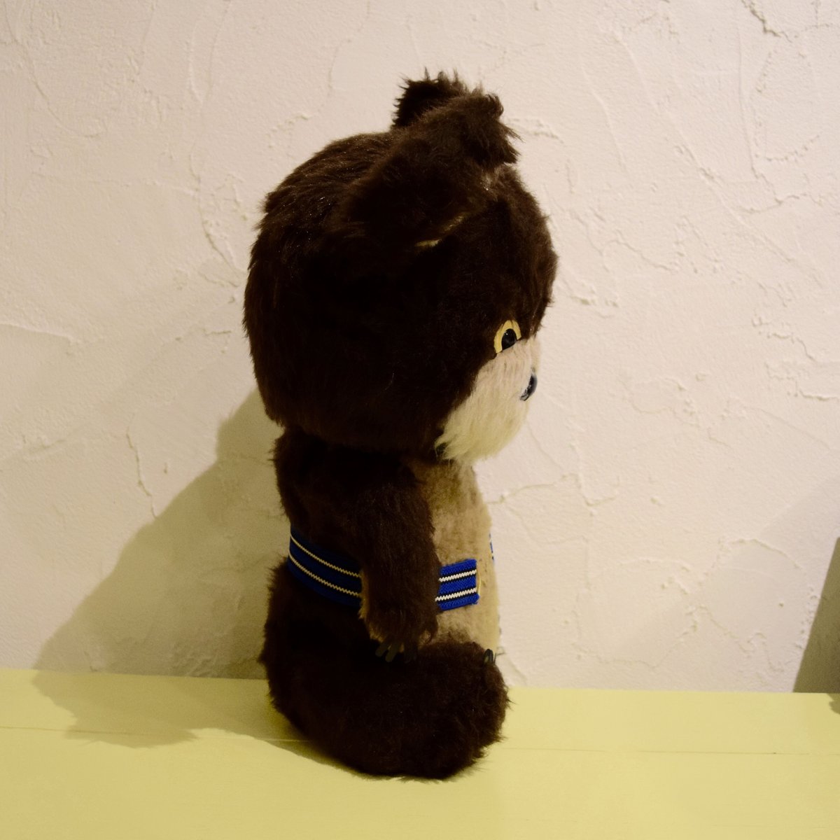 こぐまのミーシャ 特大ぬいぐるみ① | Kitten Blue