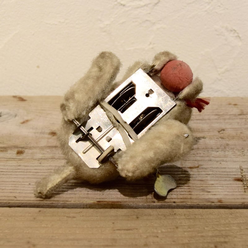 ハンガリー ゼンマイ仕掛けの猫 | Kitten Blue