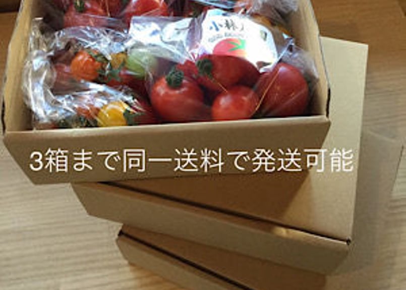 ミニトマト(赤)たっぷりセット | トマトの小林農園