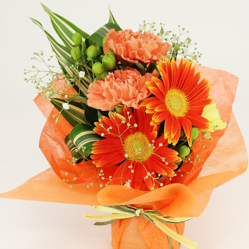 サン・オレンジ | sirim