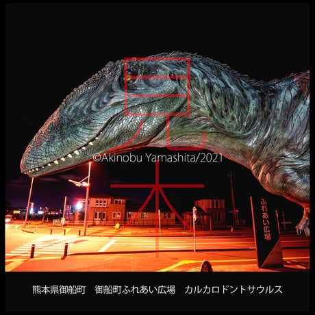 写真家・山下晃伸フォトブック「夜光性静物観察記７〜闇に浮かぶ獣たち〜」