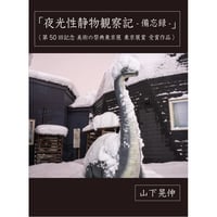 【受注生産】写真家・山下晃伸アートブック「夜光性静物観察記-備忘録-」（プロラボクリエイト社制作）