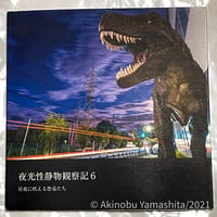 写真家・山下晃伸フォトブック「夜光性静物観察記６〜星夜に吠える恐竜たち〜」