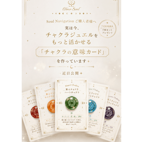 ｰ soul  navigator ｰ魂の案内人養成プログラムセットｰ