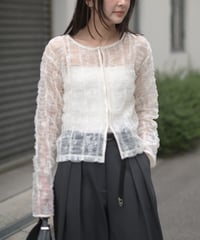 ≪再入荷≫シアーチュールレースブラウス