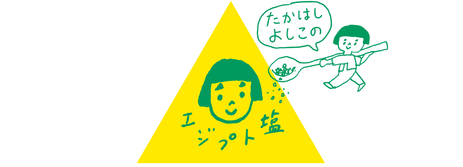 たかはしよしこのエジプト塩ストア