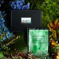 リニューアル☆メディシュティーク 炭酸パック(10パック入り) | MEDISHINE+