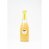 HOCCA Cidre Organic Lemon | ホッカ シードル オーガニックレモン（甘口）350ml