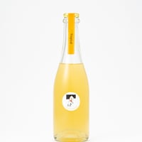 HOCCA Cidre Tropical | ホッカ シードル トロピカル（甘口）350ml