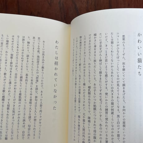 【古本】安心毛布