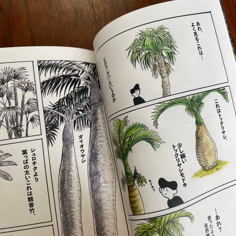 パルム書房のヤシ総合誌　シュロ3　※ぴょんぬりらさん直筆サイン入り