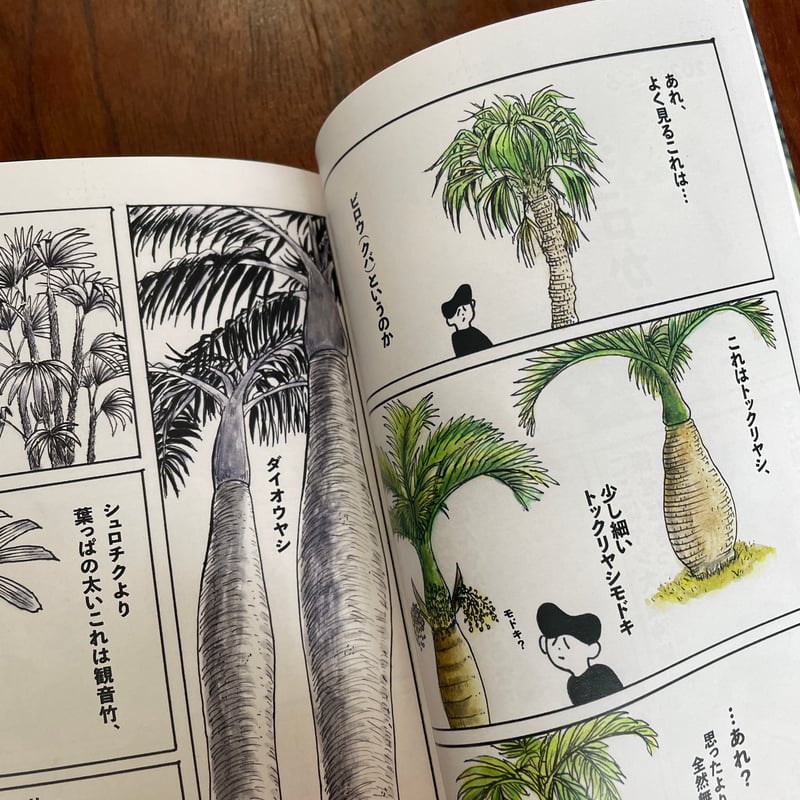パルム書房のヤシ総合誌 シュロ3 ※ぴょんぬりらさん直筆サイン入り