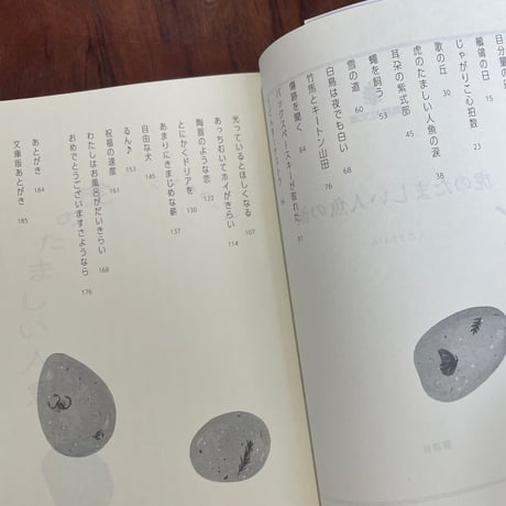 虎のたましい人魚の涙