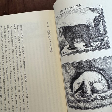 熊　人類との「共存」の歴史　新版