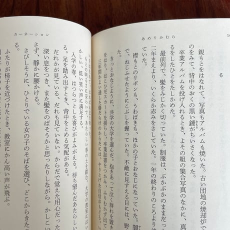 あめりかむら